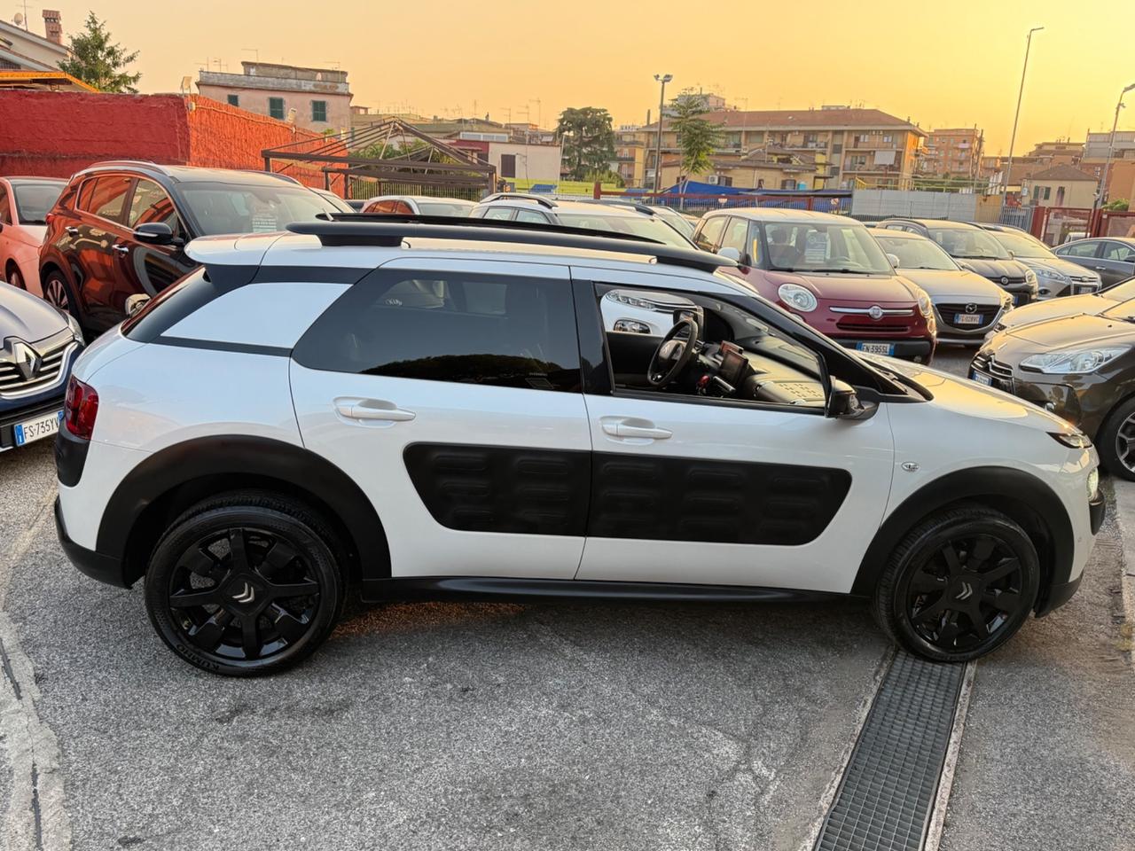 C4 Cactus hdi 100-ETG6 Shine-unipro-perfetta