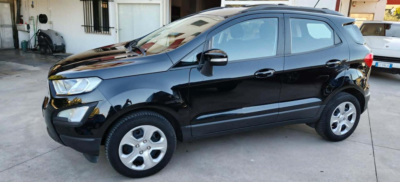 Ford EcoSport 1.0 EcoBoost 100 CV Business