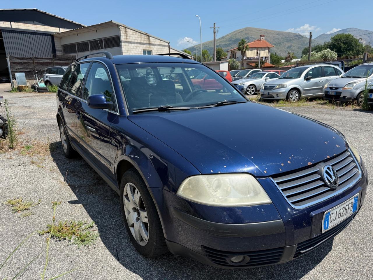 Volkswagen Passat 1.9 TDI/130 CV cat Var. T.line