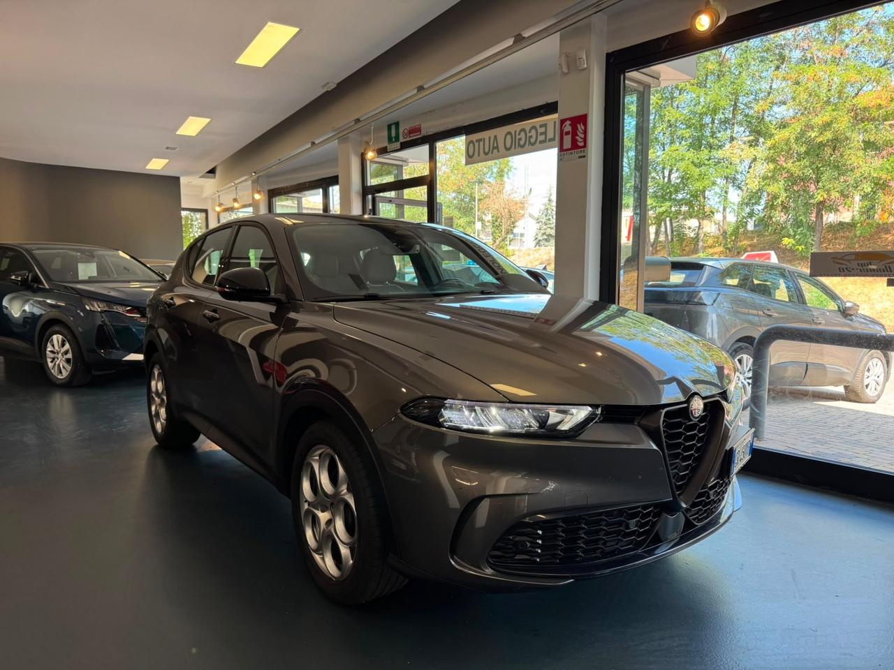 Alfa Romeo Tonale 1.6 diesel 130 CV TCT6 Ti