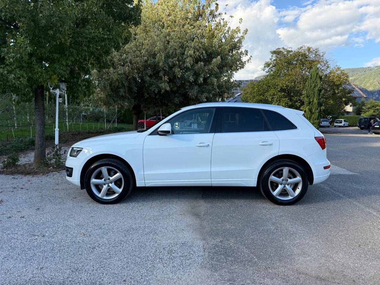 Audi Q5 2.0 TDI 170 CV quattro S tronic Advanced Plus
