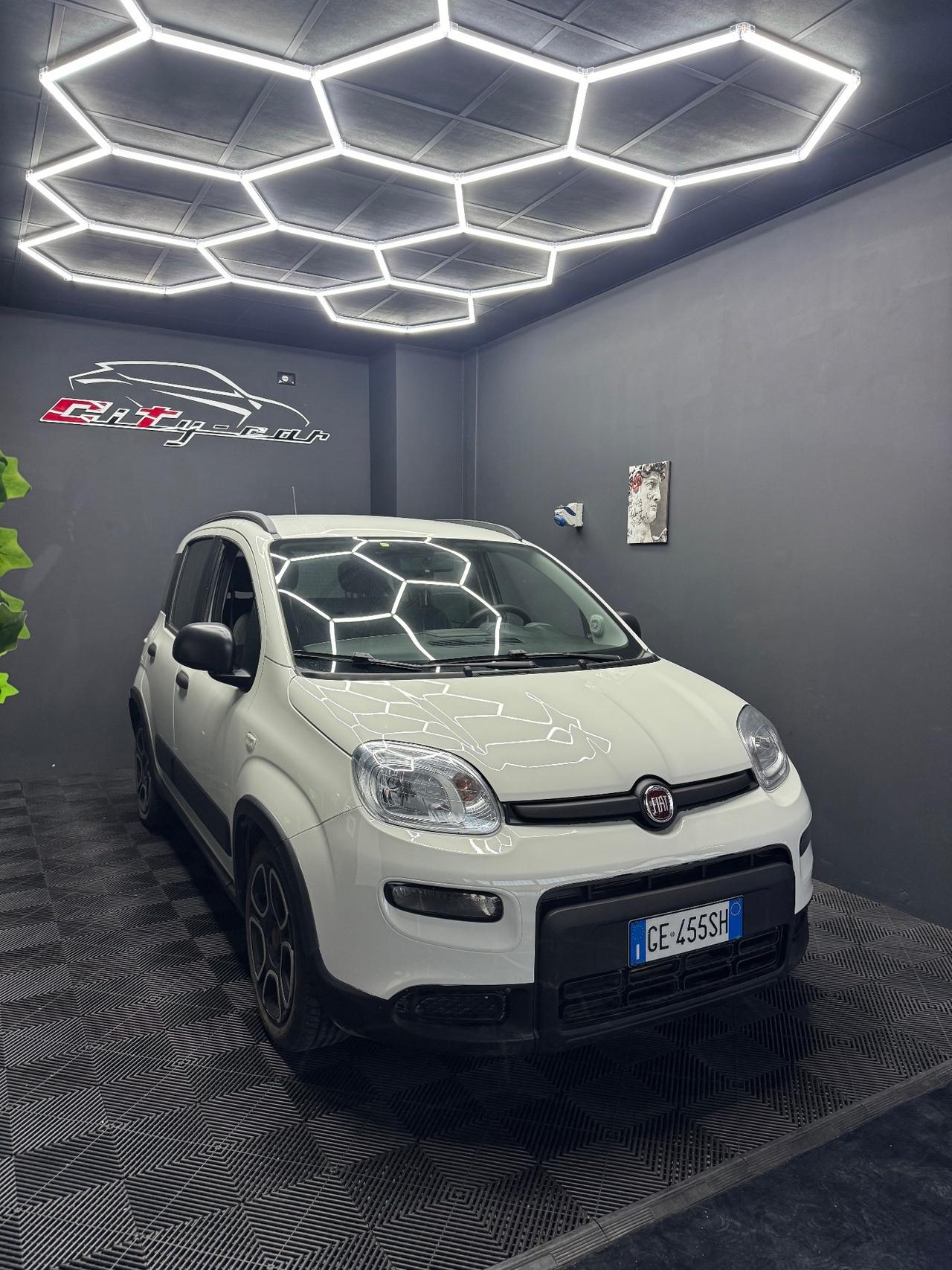 Fiat Panda 1.0 FireFly S&S Hybrid