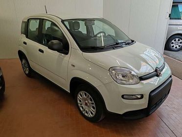 Fiat Panda 1.0 Hybrid 70cv Radio Bluetooth 36 Rate da 177,95