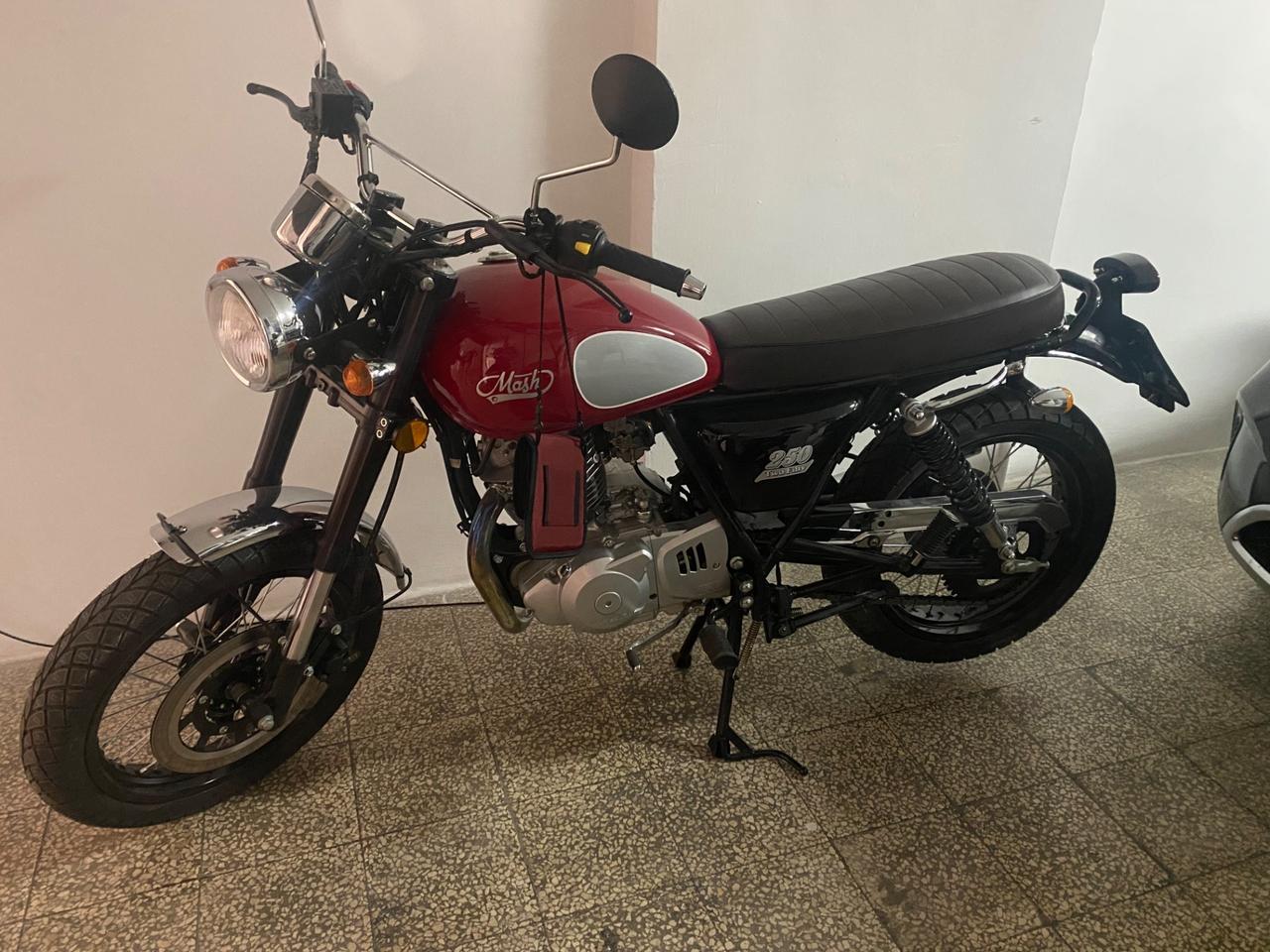 Mash Black Seven 250