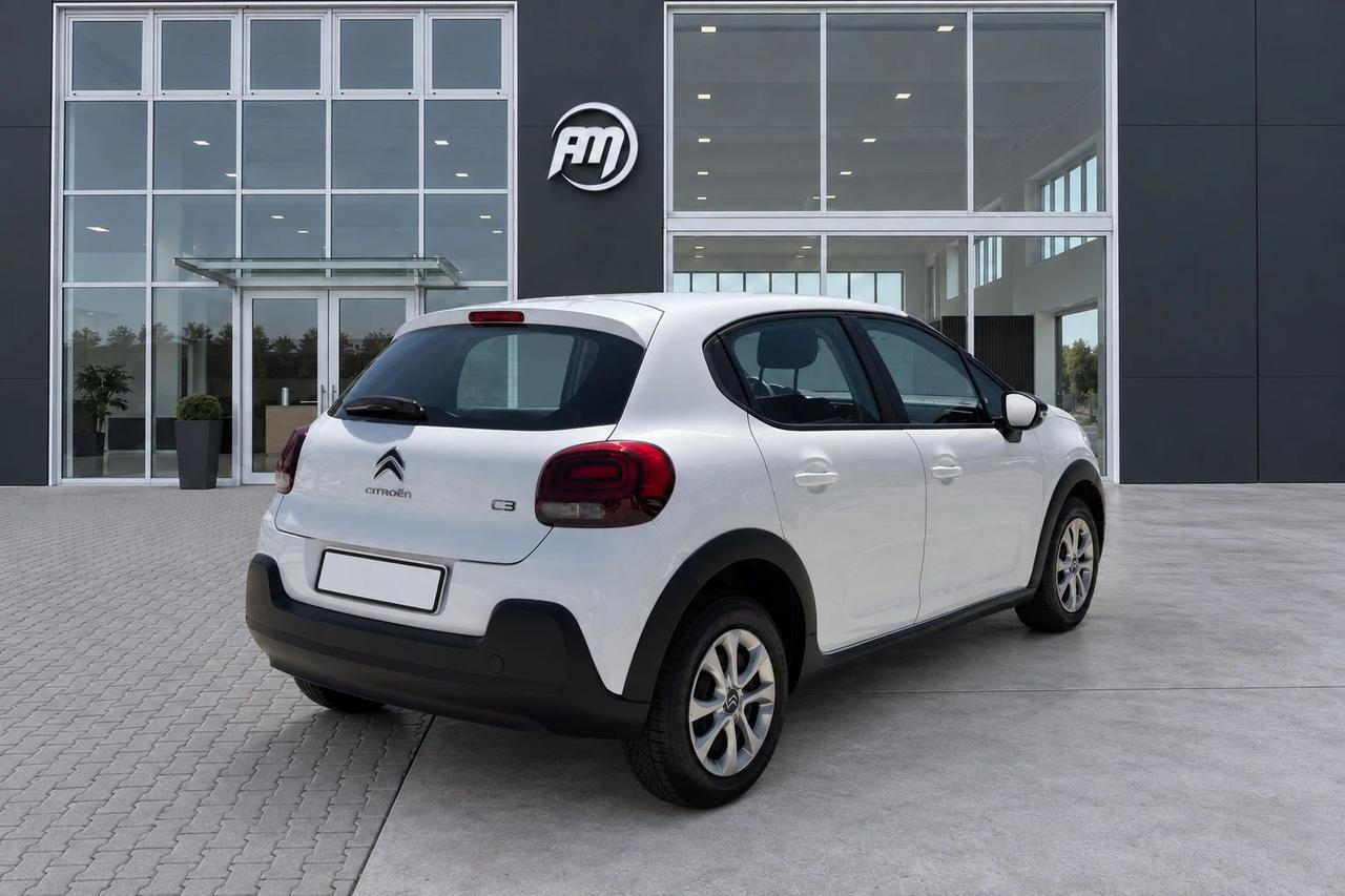 Citroen C3 1.5 100cv van 2 posti