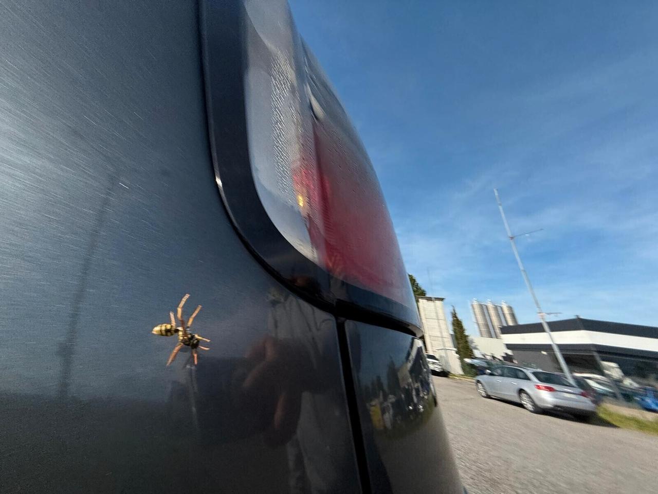 Citroen C3 Picasso 1.6 HDI full optionals