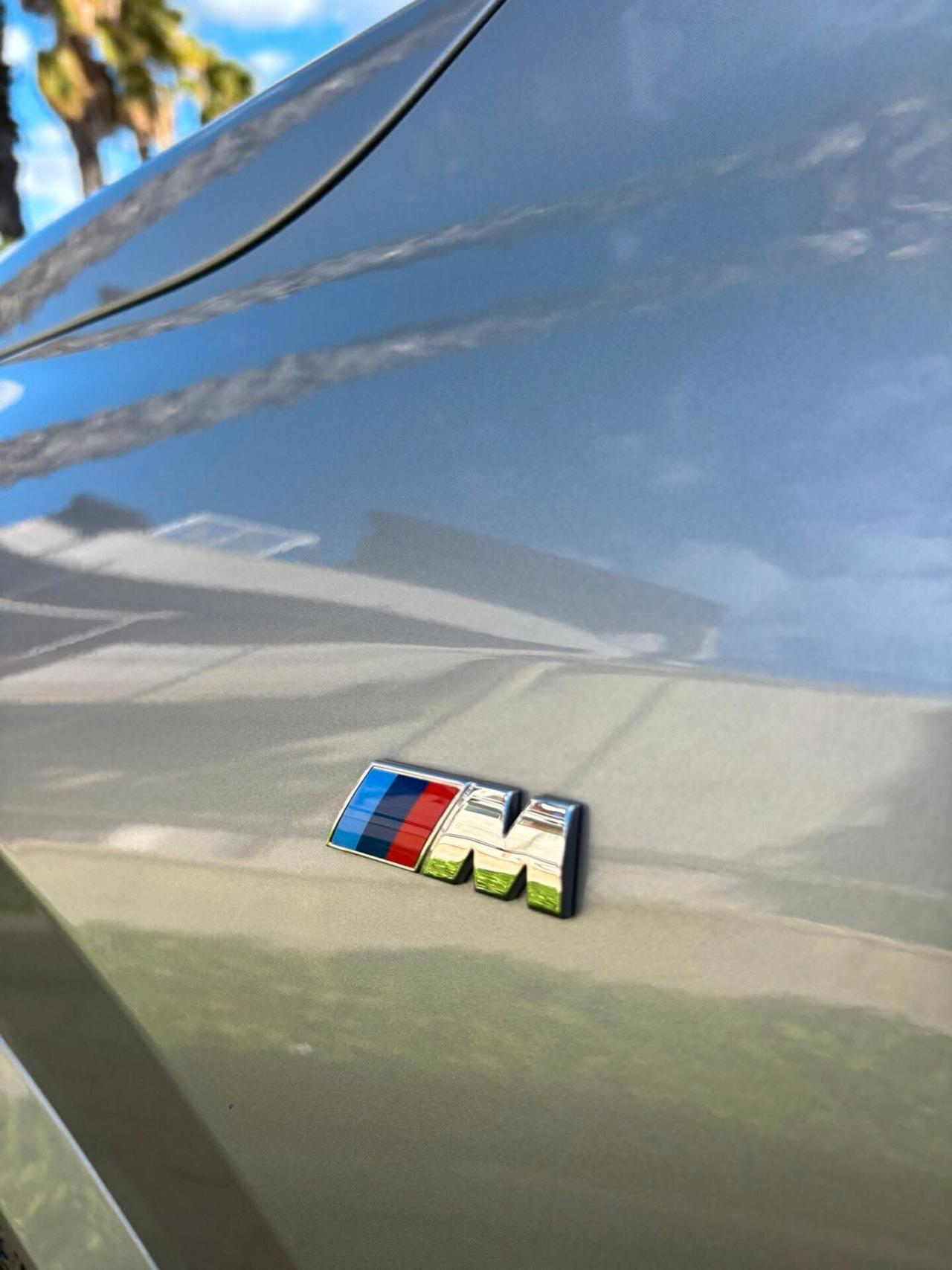 Bmw X1 xDrive 20d Msport 163 cv//