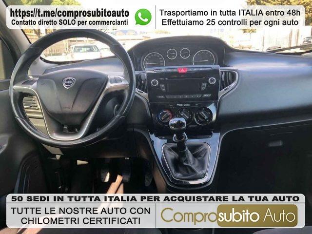 LANCIA Ypsilon 1.2 69 CV 5 porte GPL Ecochic Elefantino