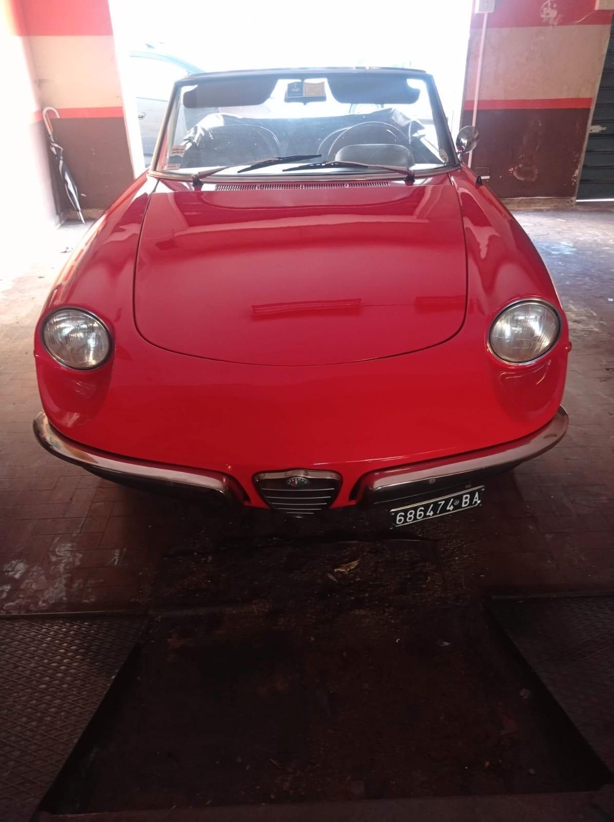Alfa Romeo Spider ALFA ROMEO DUETTO ** OSSO DI SEPPIA ** CONSERVATA
