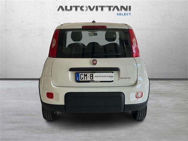 FIAT Panda 1.0 FireFly Hybrid 70cv City Life S&S 5p.ti