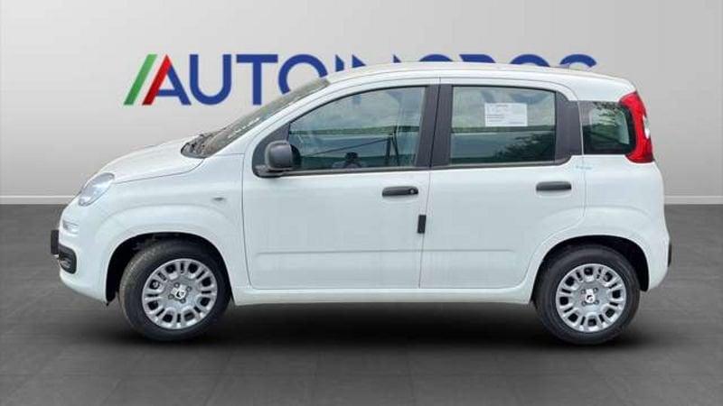 FIAT Panda III 2024 1.0 firefly hybrid s