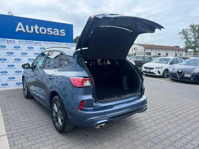 Ford Kuga 1.5 EcoBlue 120 CV 2WD ST-Line