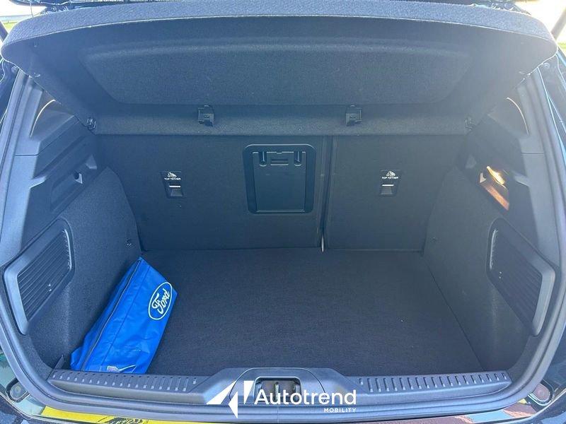 Ford Focus 2.3 EcoBoost 280 CV ST 5 Porte