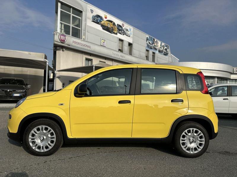 FIAT Panda 1.0 FireFly S&S Hybrid Pandina