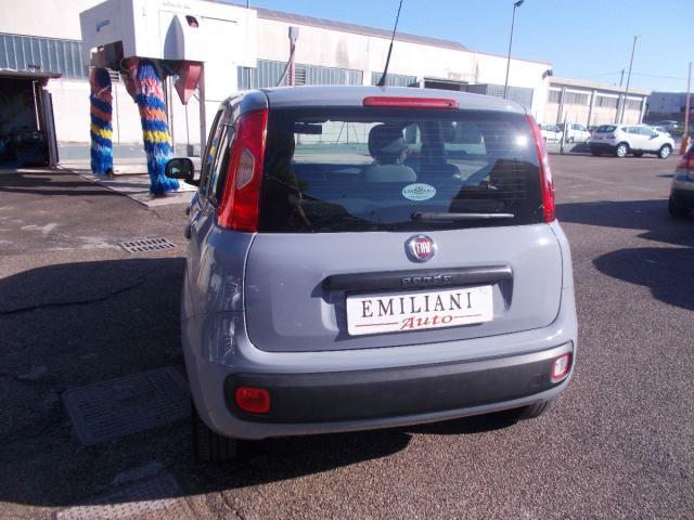 FIAT - Panda - 1.2 Easy