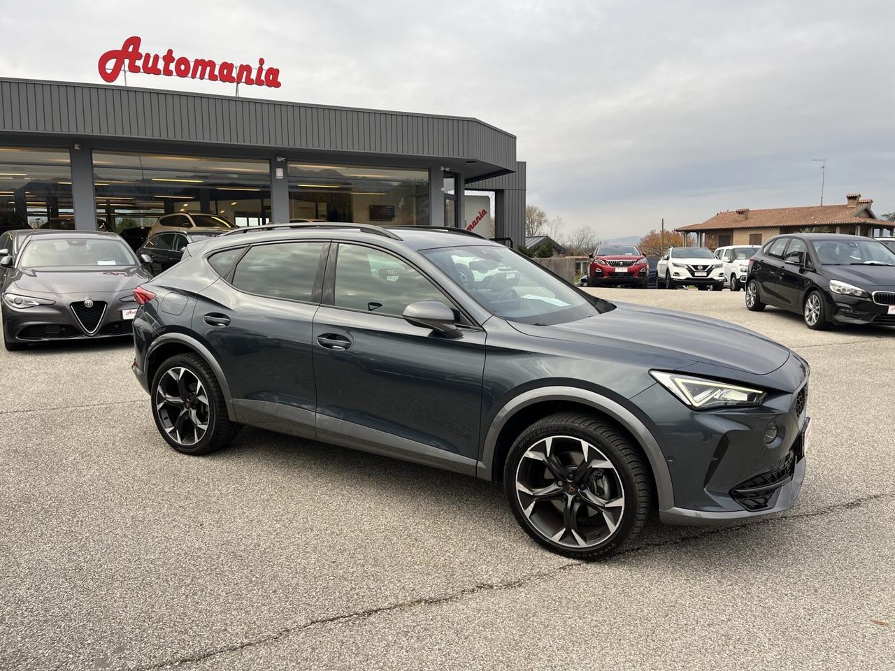 CUPRA FORMENTOR 2.0 TDI 150 CV 4X4 DSG N1 Autoc.