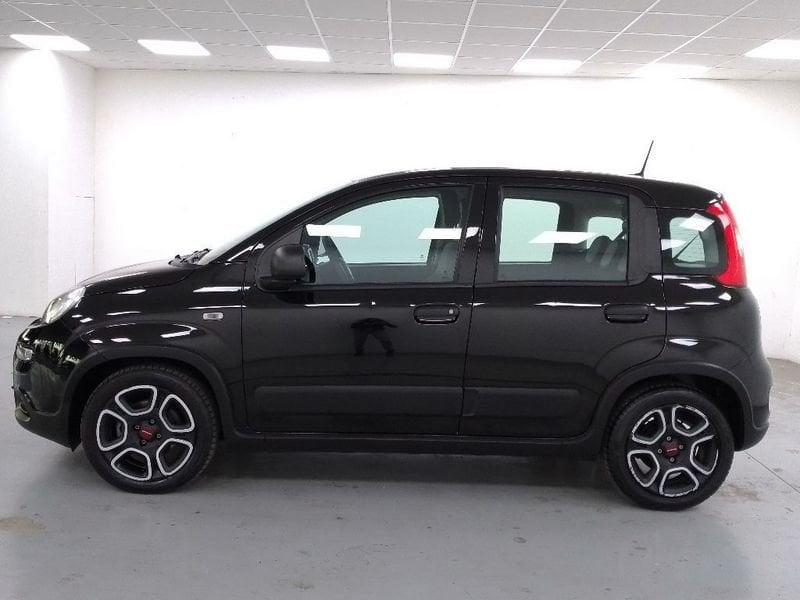 FIAT Panda 1.0 firefly hybrid s&s 70cv 5p.ti