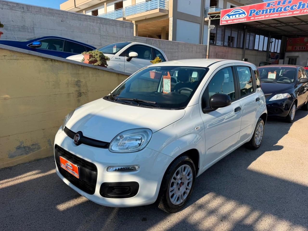 FIAT PANDA 1.2 BENZINA 69 (CV) 2019