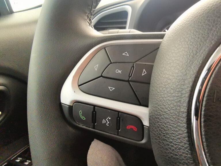 Jeep Renegade 1.6 Mjt 120 CV Business