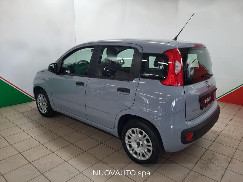 FIAT Panda 1.2 69 CV EasyPower E6d-Temp Easy