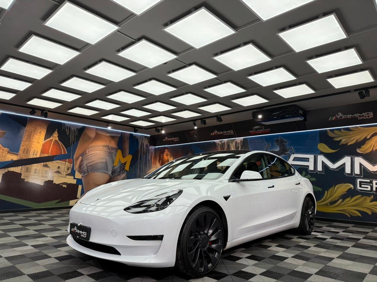 Tesla Model 3 Long Range AWD Performance (522)