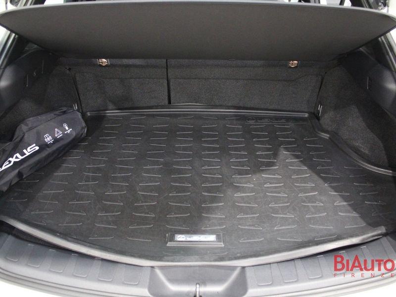 Lexus UX UX 250h 2.0 Executive 2wd cvt my20