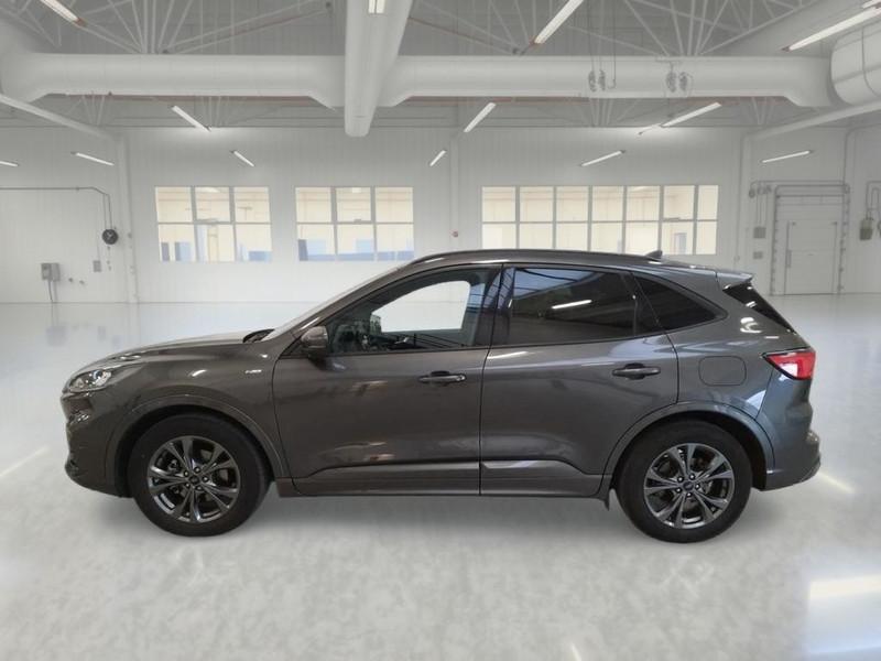 FORD KUGA 1.5 EcoBlue 120CV 2WD ST-Line Auto