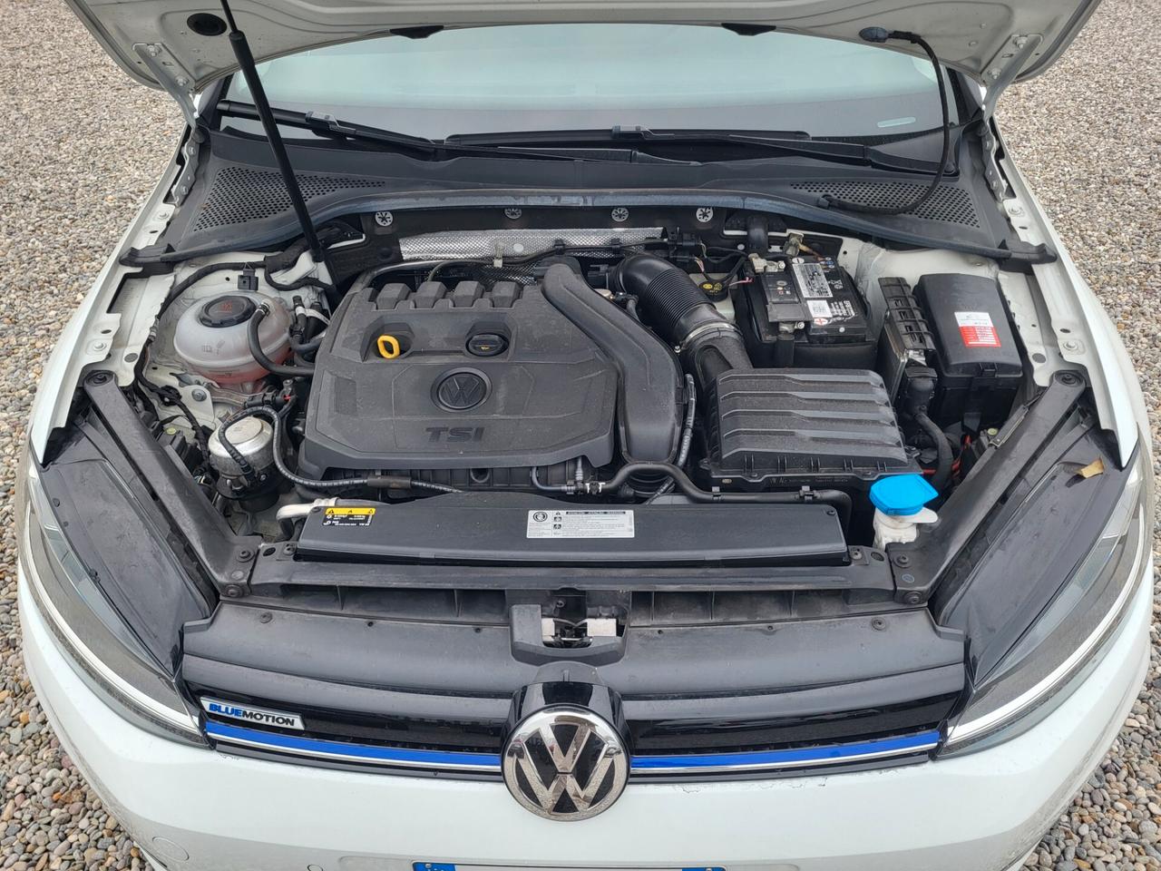 Volkswagen Golf 1.5 TSI ACT 5p. Sport BlueMotion Technology