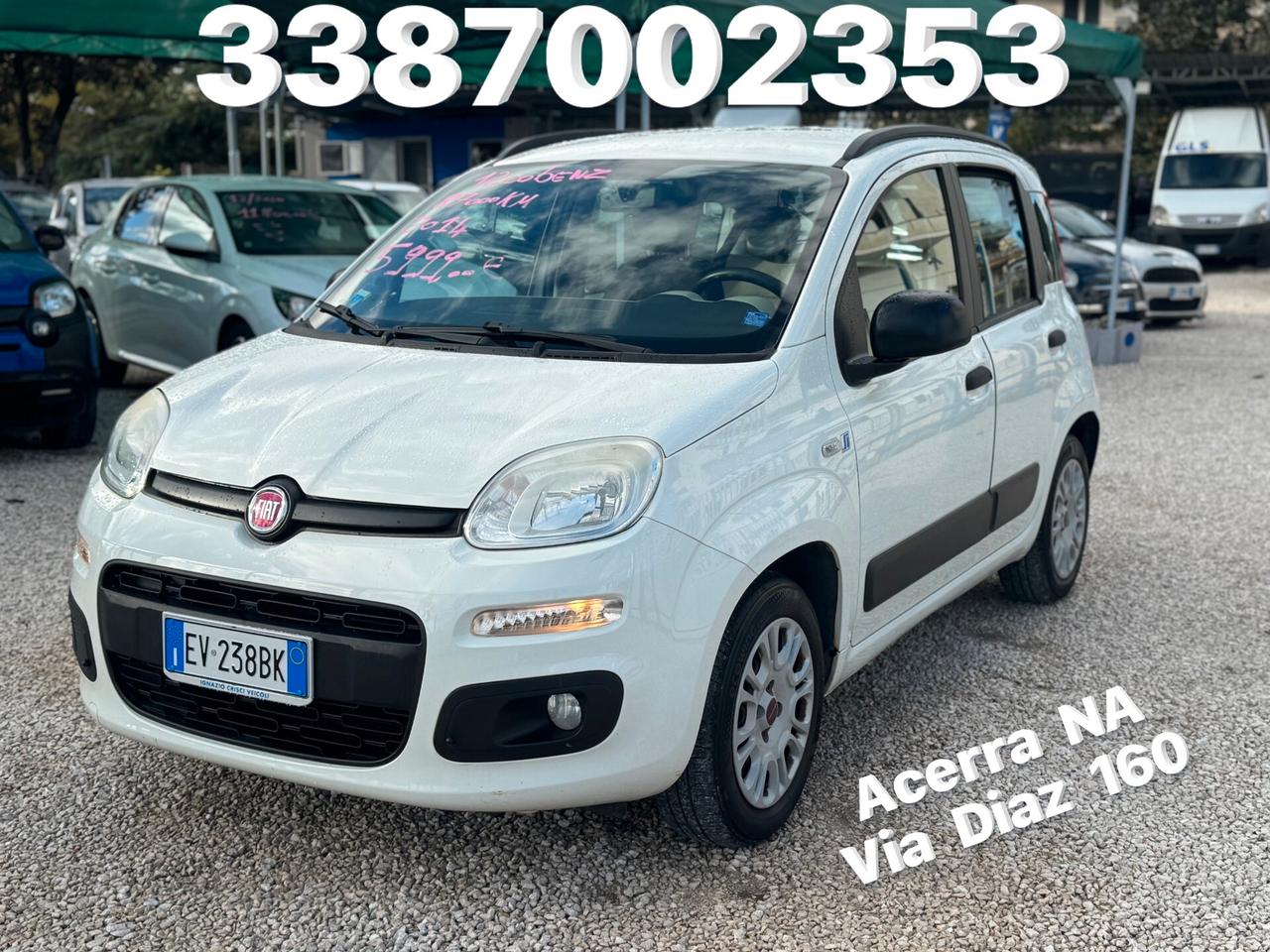 Fiat Panda 1.2 Lounge 1prop. nord italia km certificati 2014