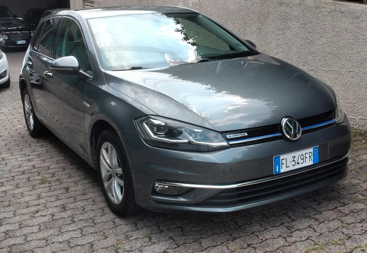 Volkswagen Golf 1.4 TGI DSG 5p. Highline BlueMotion