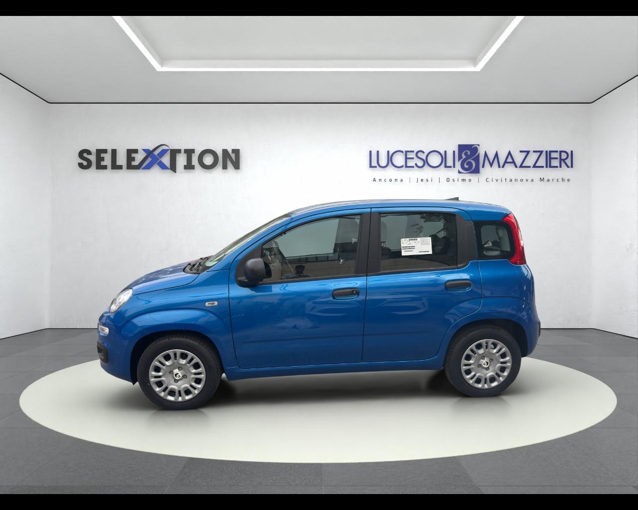 FIAT Panda 3ª serie - Panda 1.0 FireFly S&S Hybrid