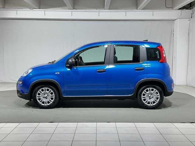 Fiat Panda 1.0 FireFly S&S Hybrid KM ZERO