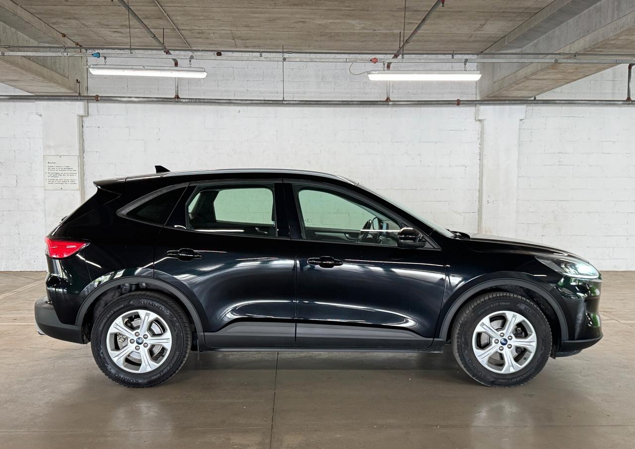 Ford Kuga 1.5 EcoBlue 120 CV 2WD Titanium