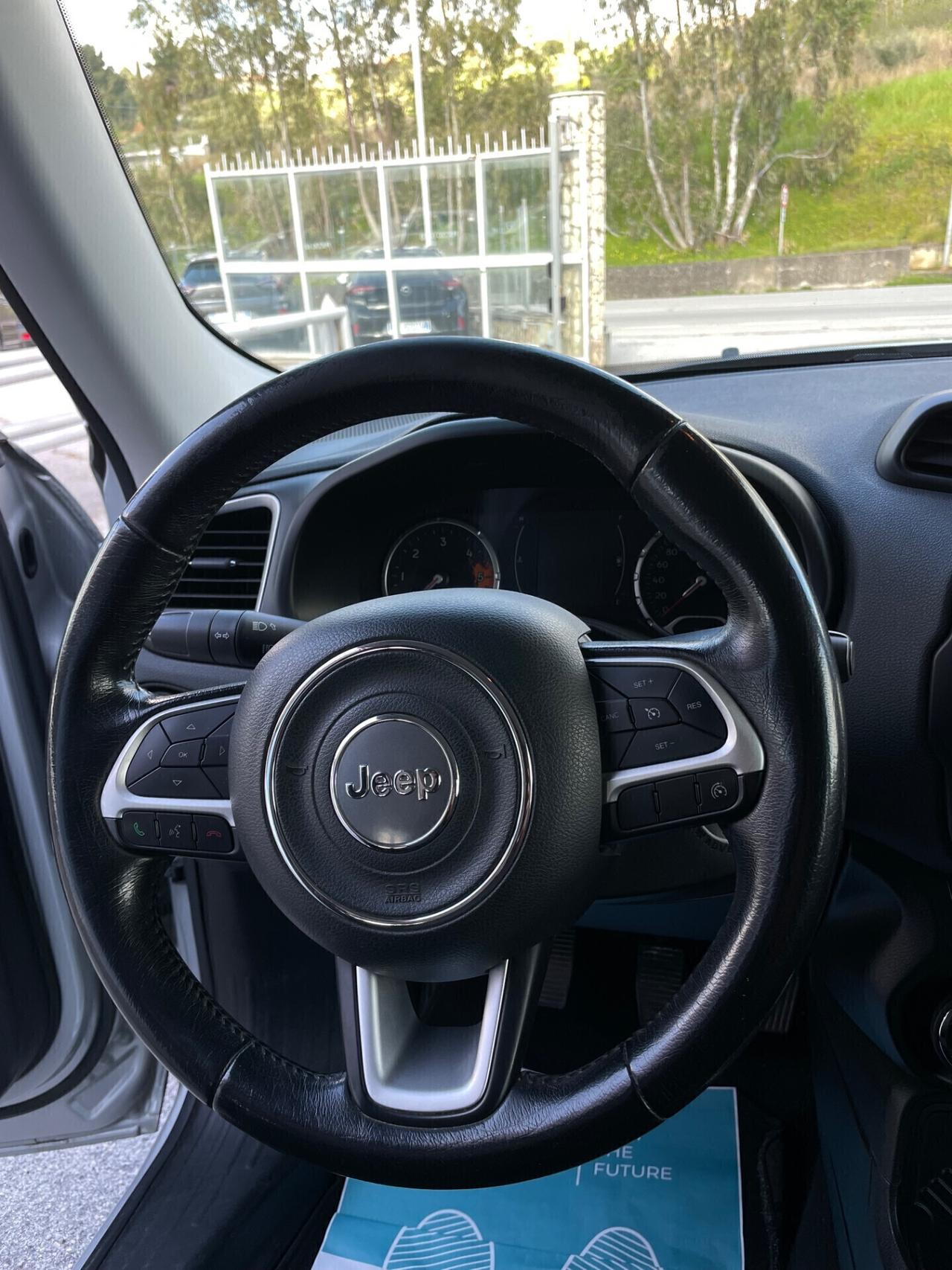 Jeep Renegade 1.6 Mjt 120 CV Longitude
