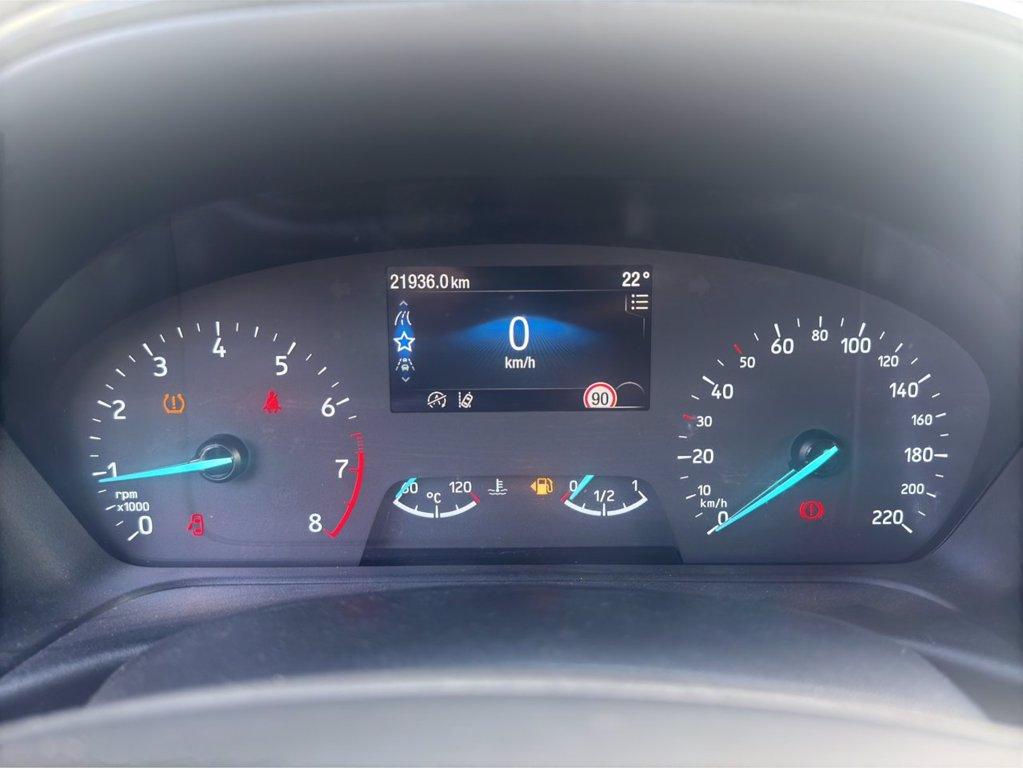 FORD Fiesta 1.0 Ecoboost Hybrid 125 CV 5 porte Titanium del 2023