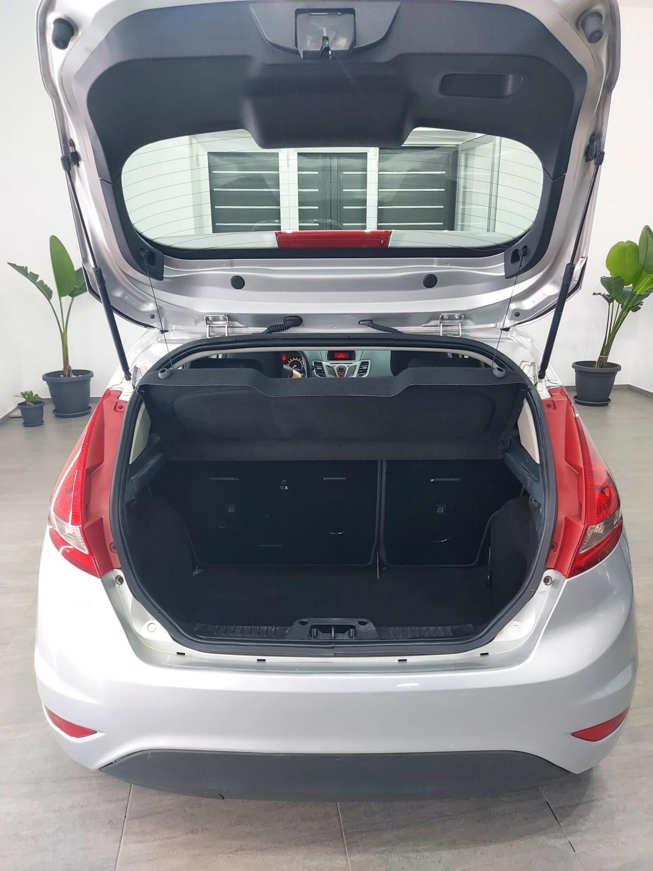 Ford Fiesta 1.4 TDCi 5p. Titanium