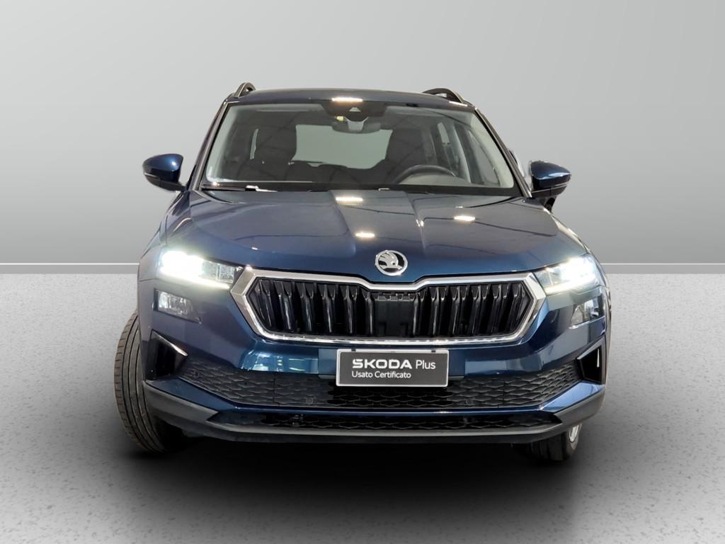 Skoda Karoq 2.0 tdi evo Executive 115cv dsg