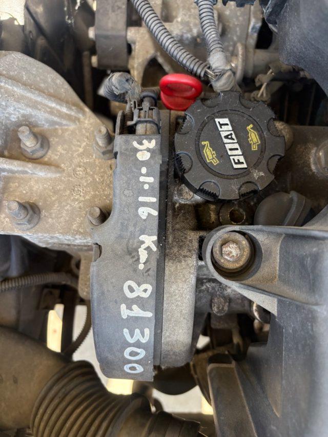 FIAT Punto 1.2i cat 5 porte POCHI CHILOMETRI OK NEOP