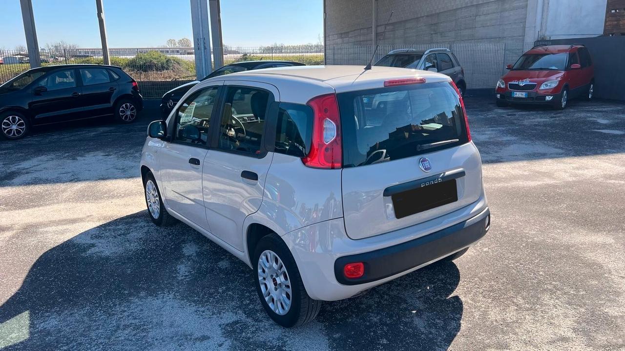 Fiat Panda 1.2 Easy NEOPATENTATI-UNICO PROPRIETARIO