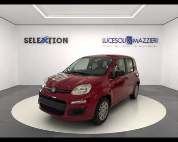 FIAT Panda 3ª serie - Panda 1.0 FireFly S&S Hybrid
