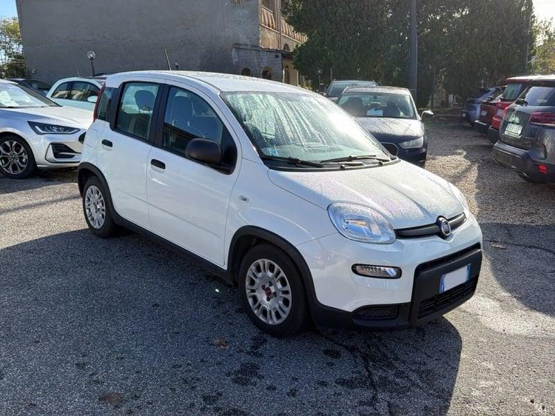 FIAT Panda Panda 1.0 firefly hybrid s&s 70cv 5p.ti