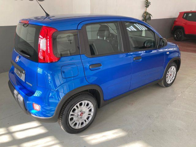 FIAT Panda 1.0 FireFly S&S Hybrid adatta ai neopatentati