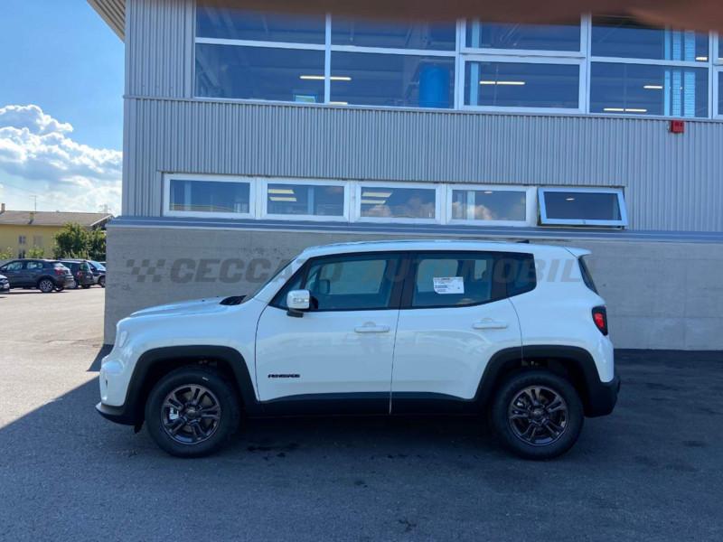 Jeep Renegade Renegade My21 Business 1.3 GseT4 150cv Ddct