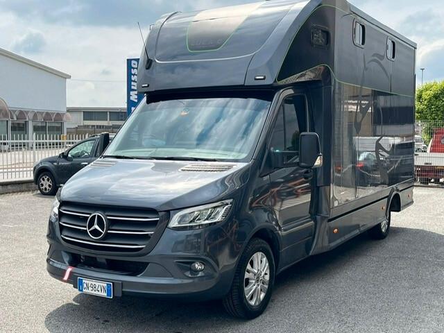 Mercedes-benz Sprinter F43/35 319 CDI RWD TA TRASPORTO CAVALLI 3 POSTI + CUCCIETTA