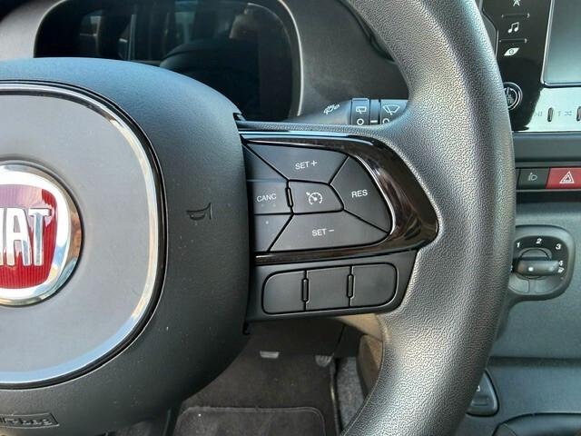 Fiat Panda 1.0 FireFly S&S Hybrid Icon