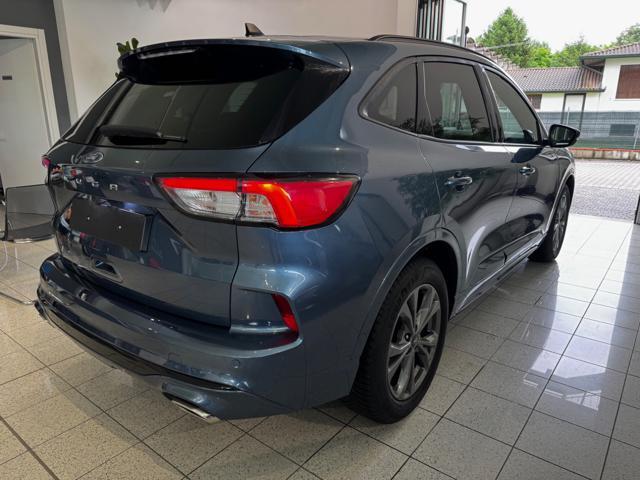 FORD Kuga 2.0 EcoBlue 120 CV aut. 2WD ST-Line - VARI COLORI!