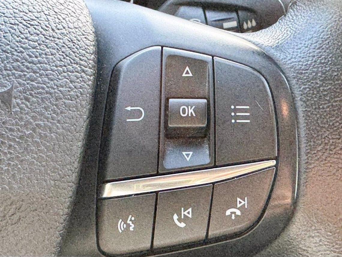 FORD Transit 290 2 0 tdci mhev 130cv trend l2h2 e6 2