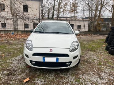 Fiat Punto Van - autocarro trasporto di cose (uso proprio)