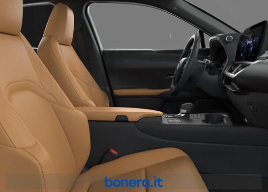 Lexus UX 300 2.0 Full Hybrid F-Design 2WD e-CVT