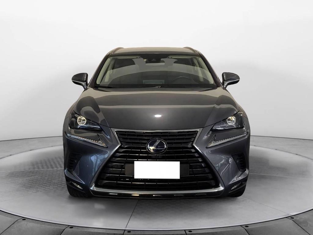 Lexus NX 300 300 2.5 Hybrid Premium 4WD CVT